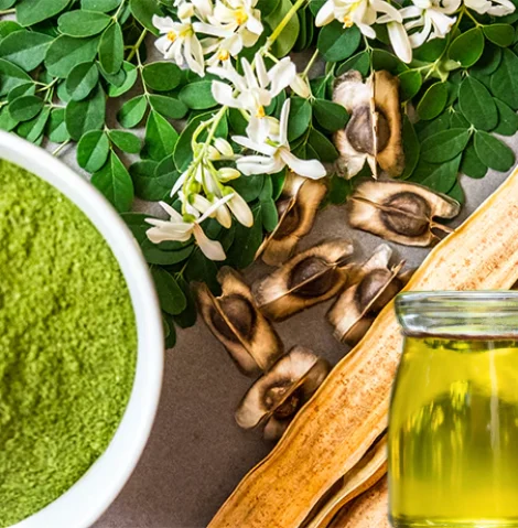 moringa-seeds-powder